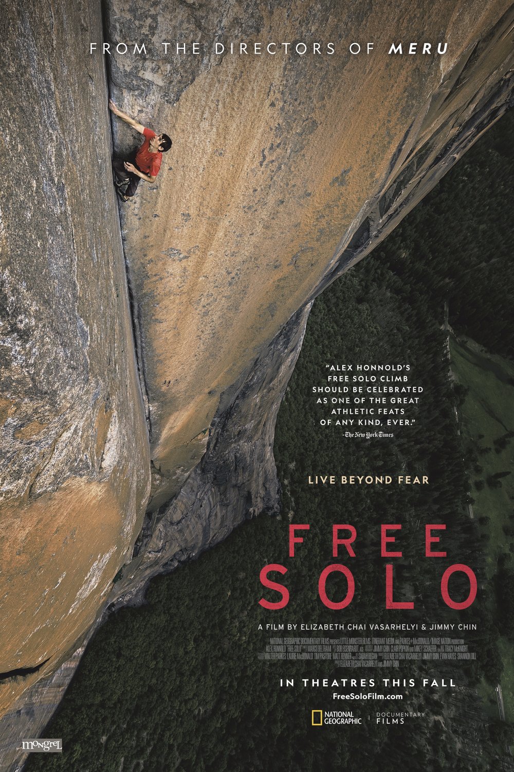 Poster of the movie Free Solo [2018]