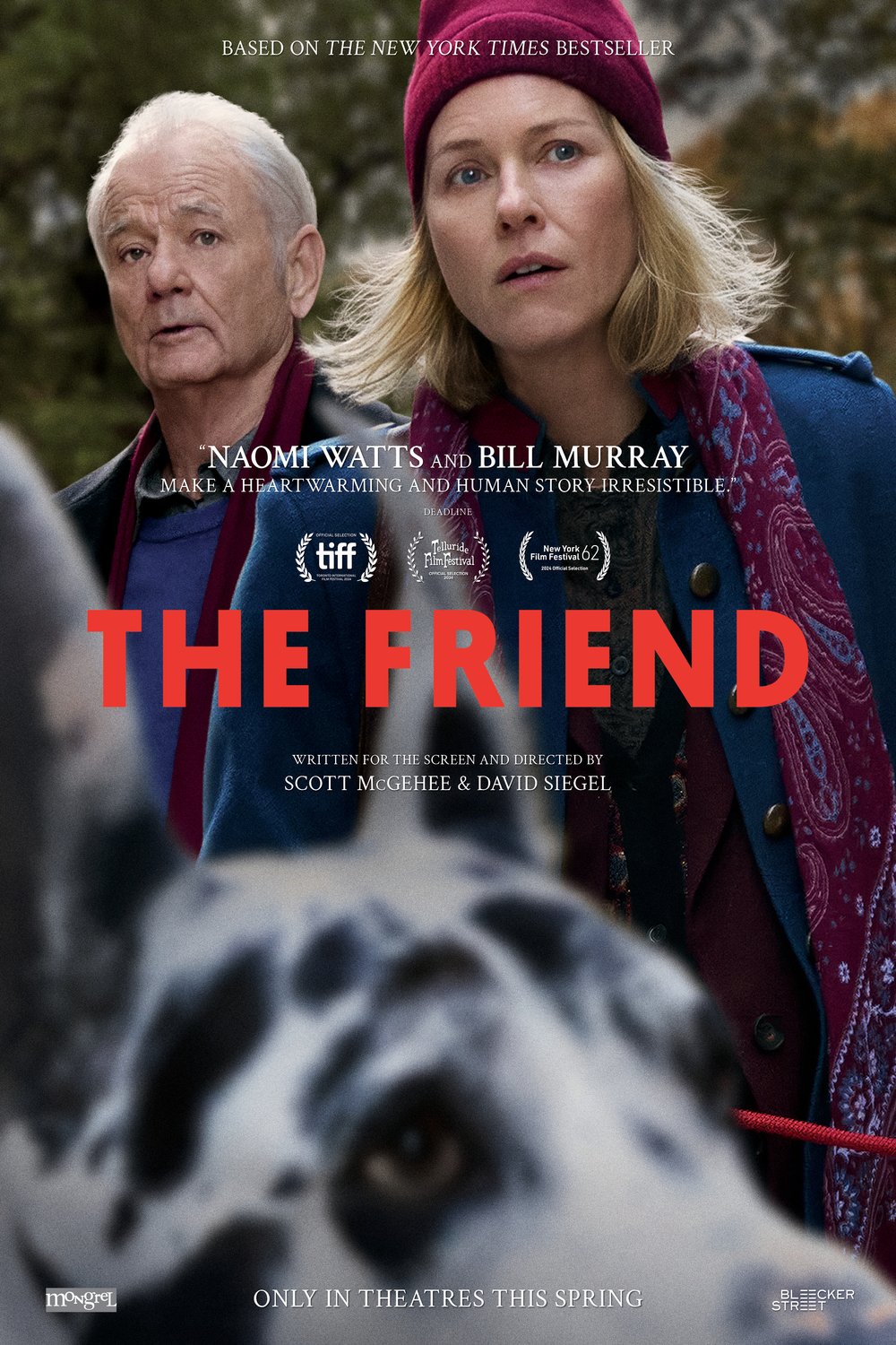 Poster of the movie The Friend [2024]