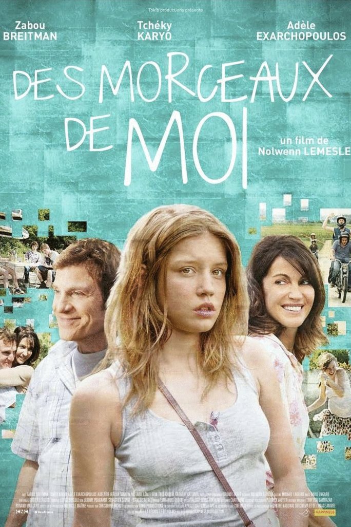 L'affiche du film Des morceaux de moi