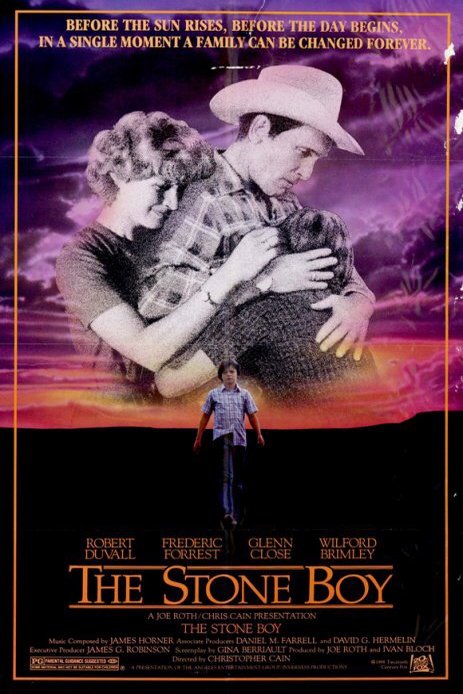 L'affiche du film The Stone Boy