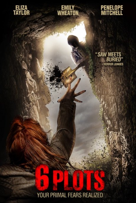 L'affiche du film 6 Plots