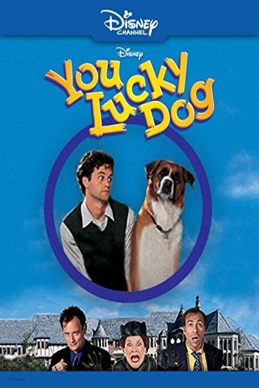 Poster of the movie You Lucky Dog