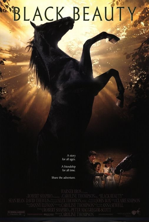 L'affiche du film Black Beauty v.f.