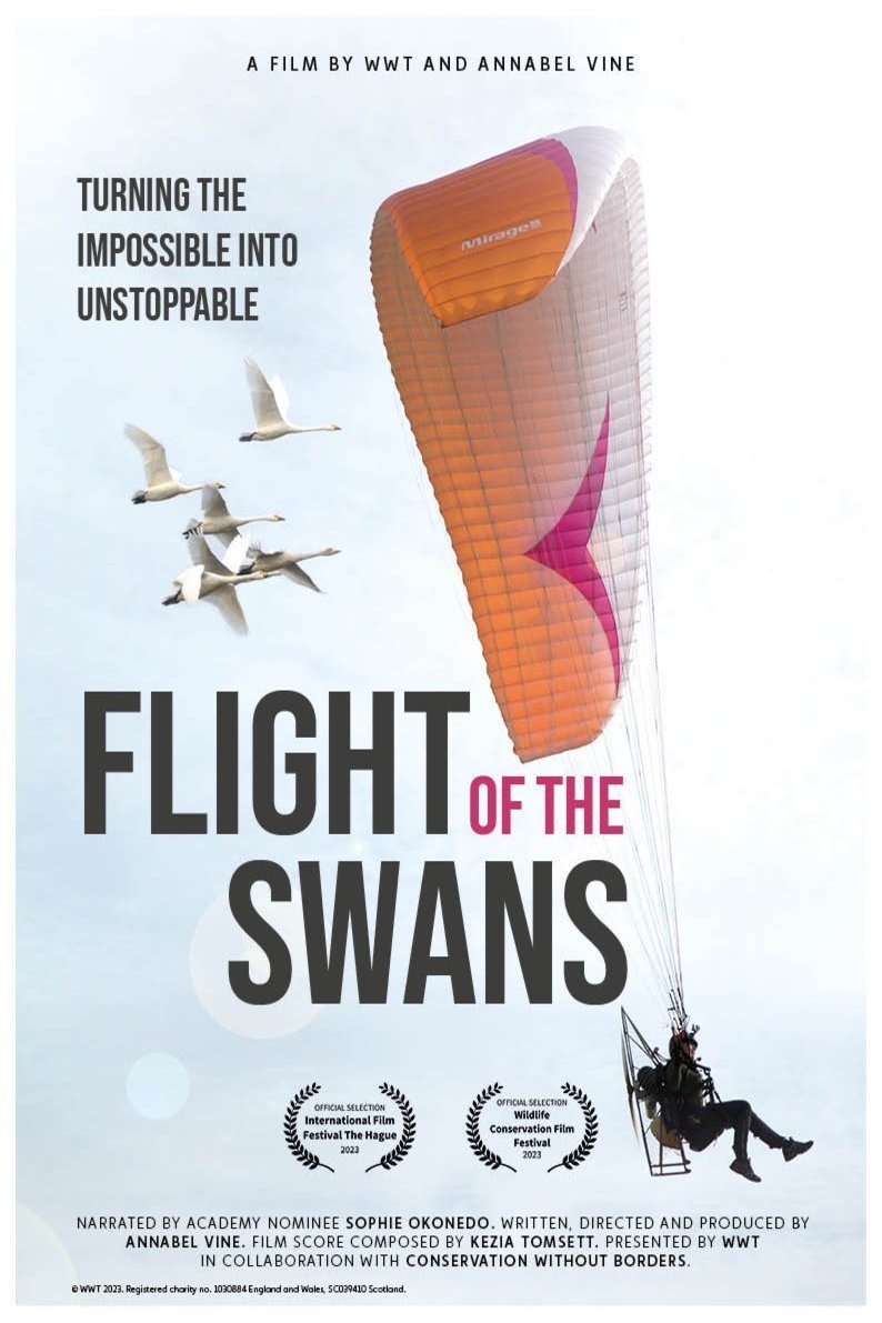 L'affiche du film Flight of the Swans