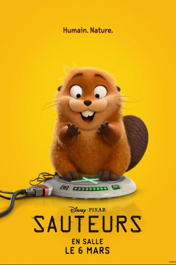 L'affiche du film Sauteurs