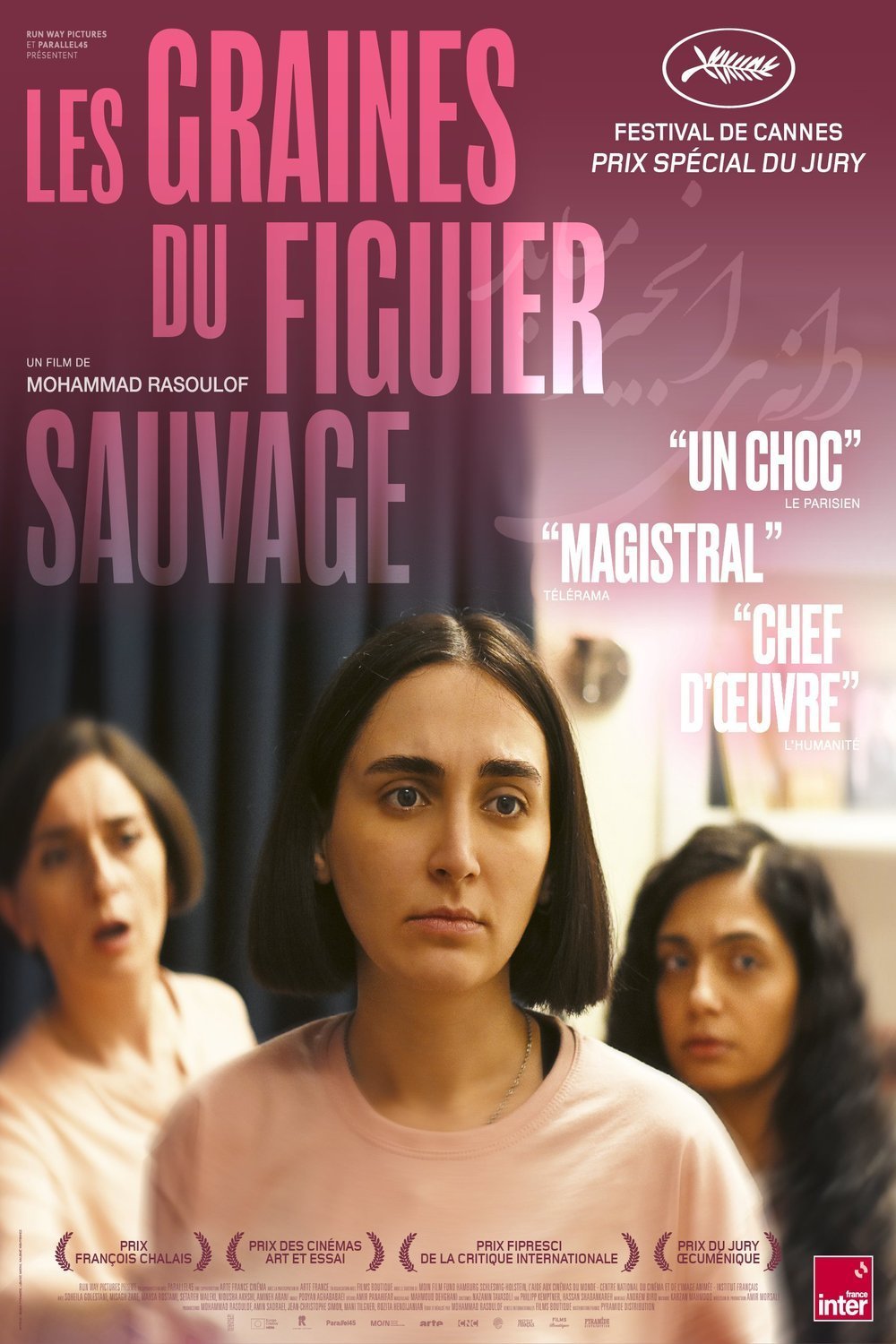 L'affiche du film Les graines du figuier sauvage