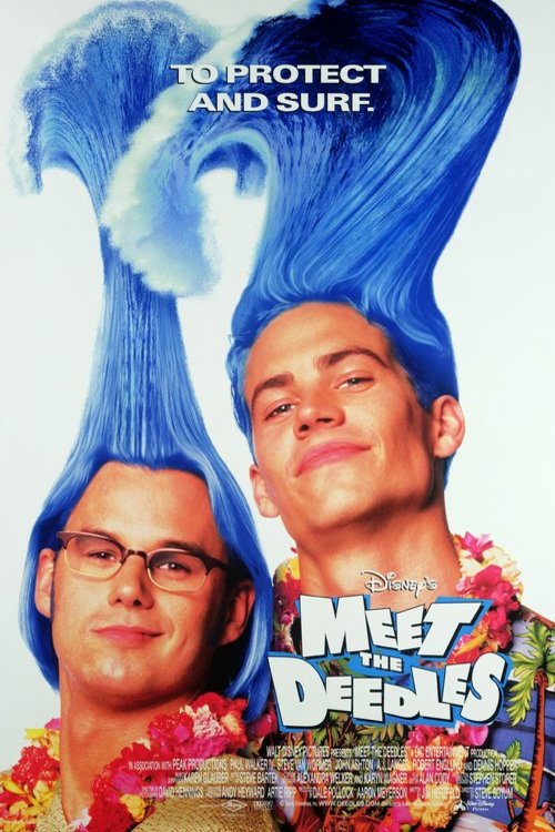 L'affiche du film Meet the Deedles