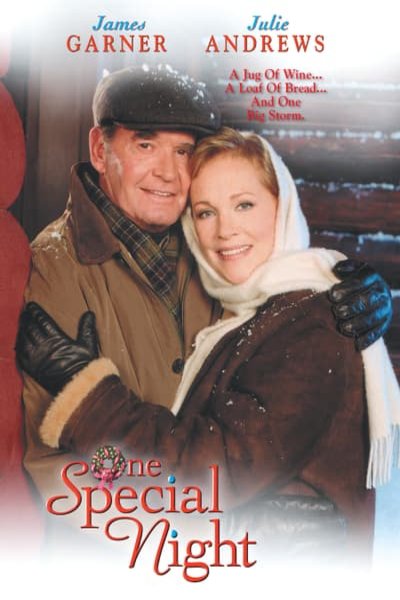 Poster of the movie One Special Night