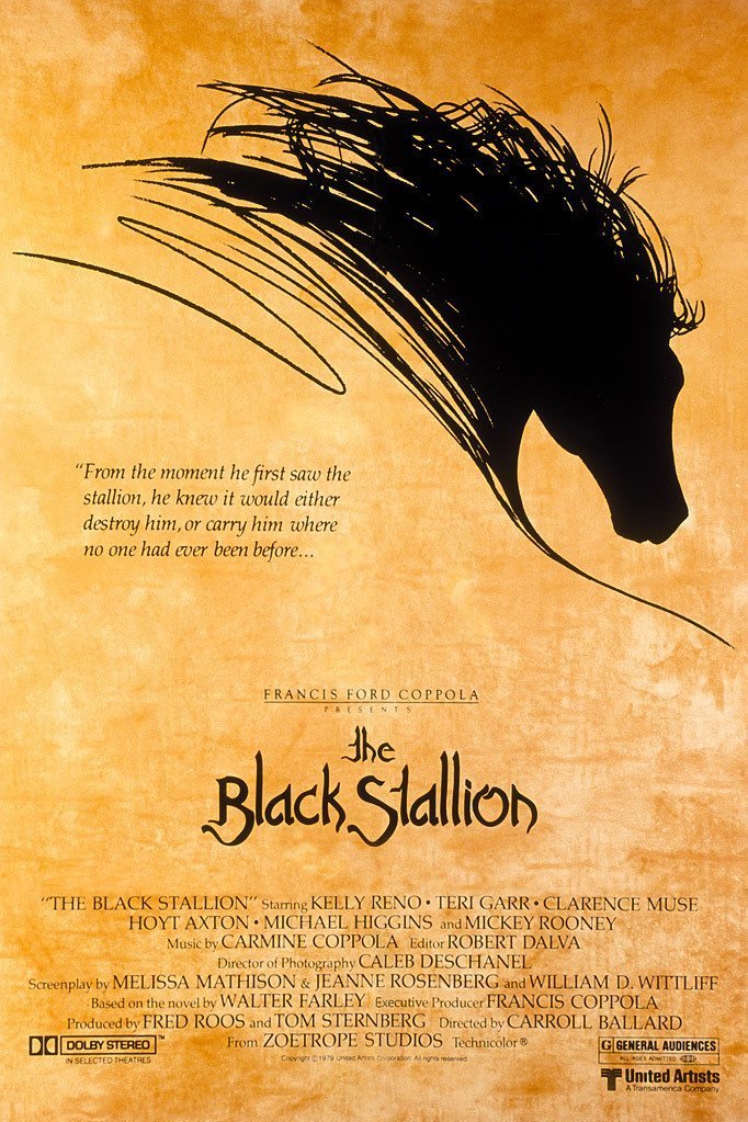 Poster of the movie The Black Stallion