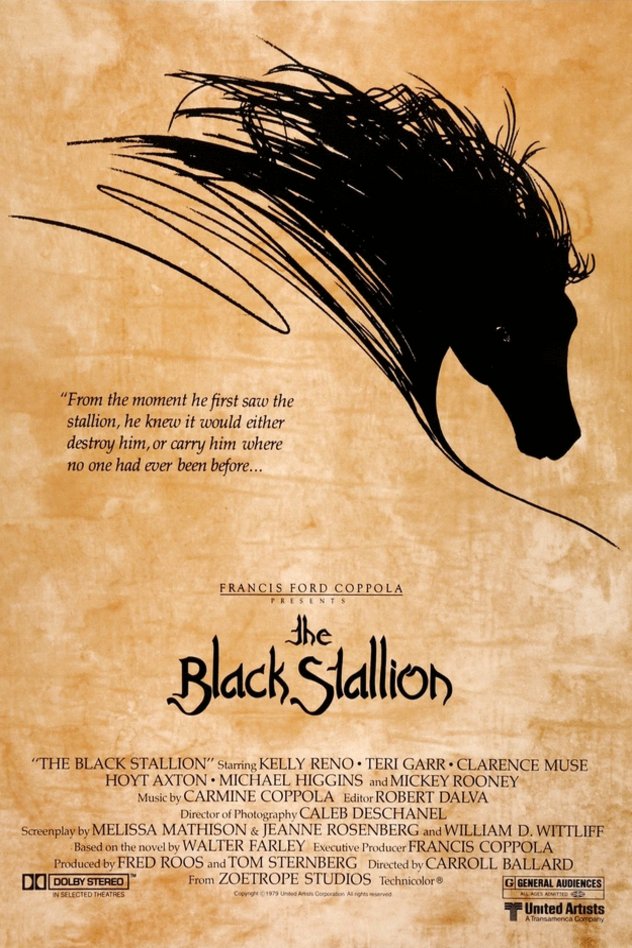 Poster of the movie The Black Stallion