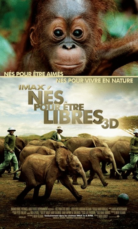 L'affiche du film Nés pour être libres