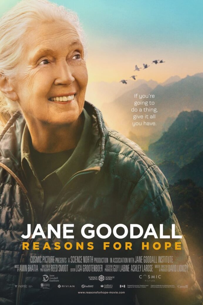 Poster of the movie Jane Goodall: Reasons for Hope