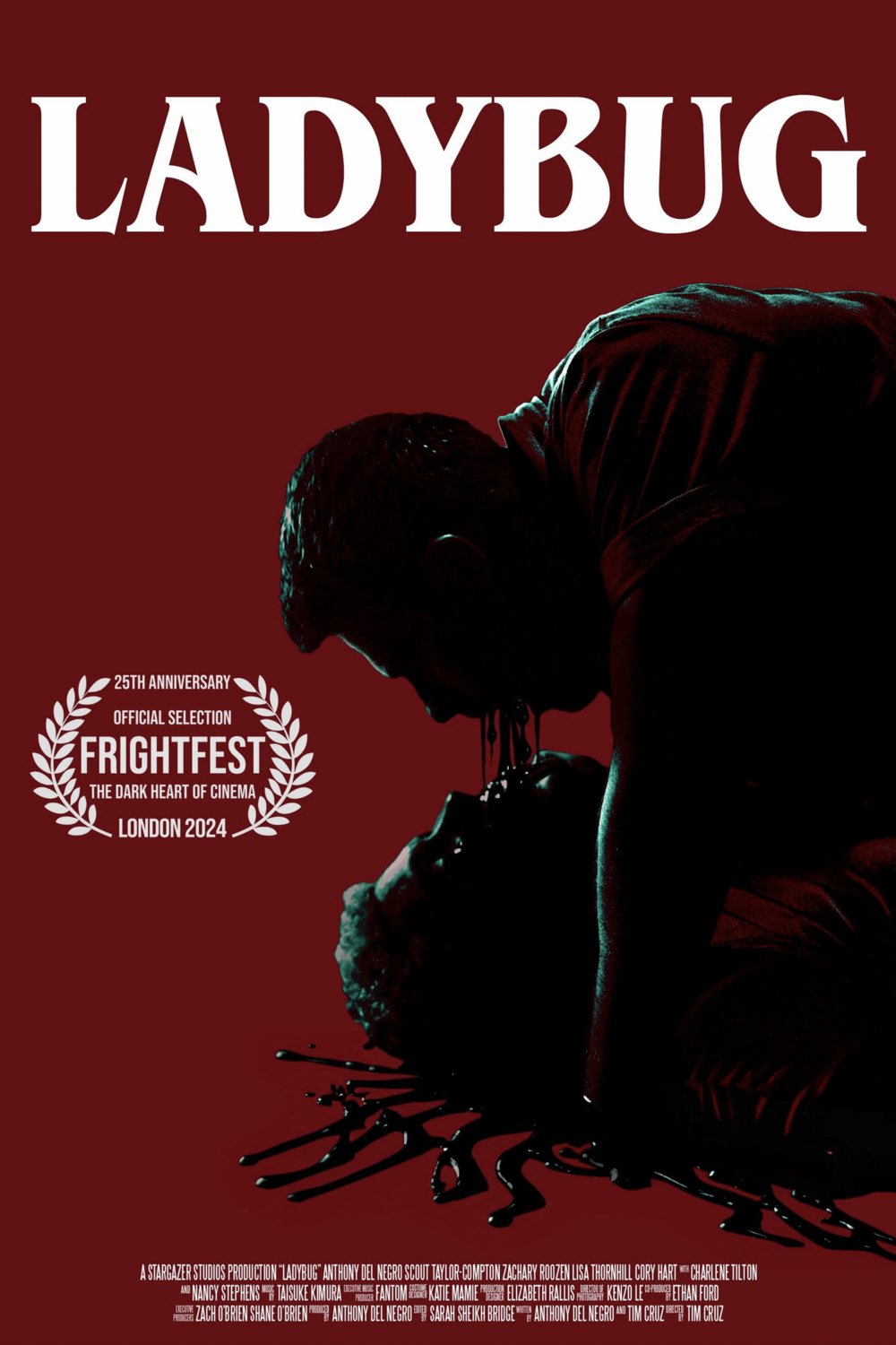 Poster of the movie Ladybug [2024]