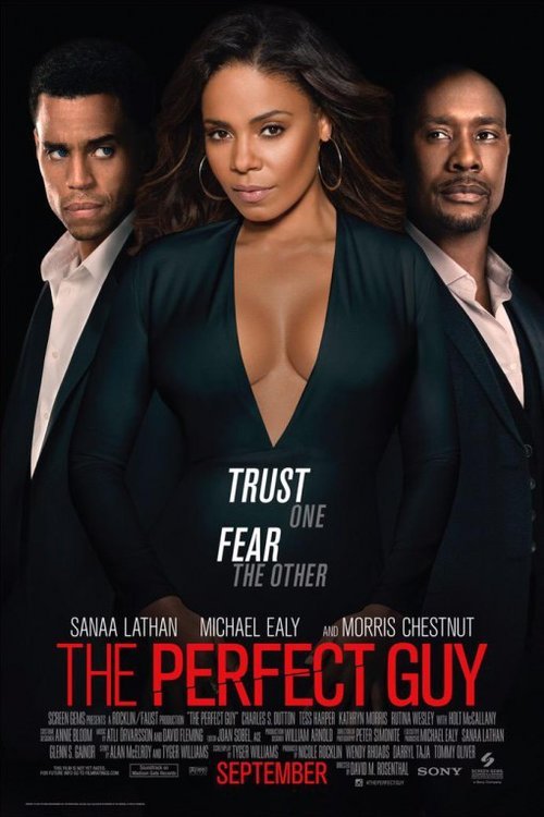 L'affiche du film The Perfect Guy