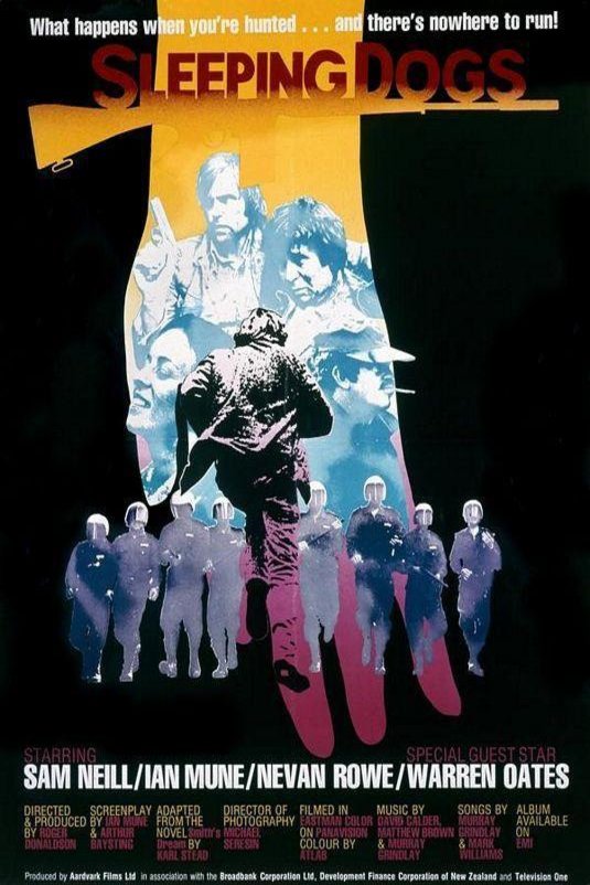 L'affiche du film Sleeping Dogs