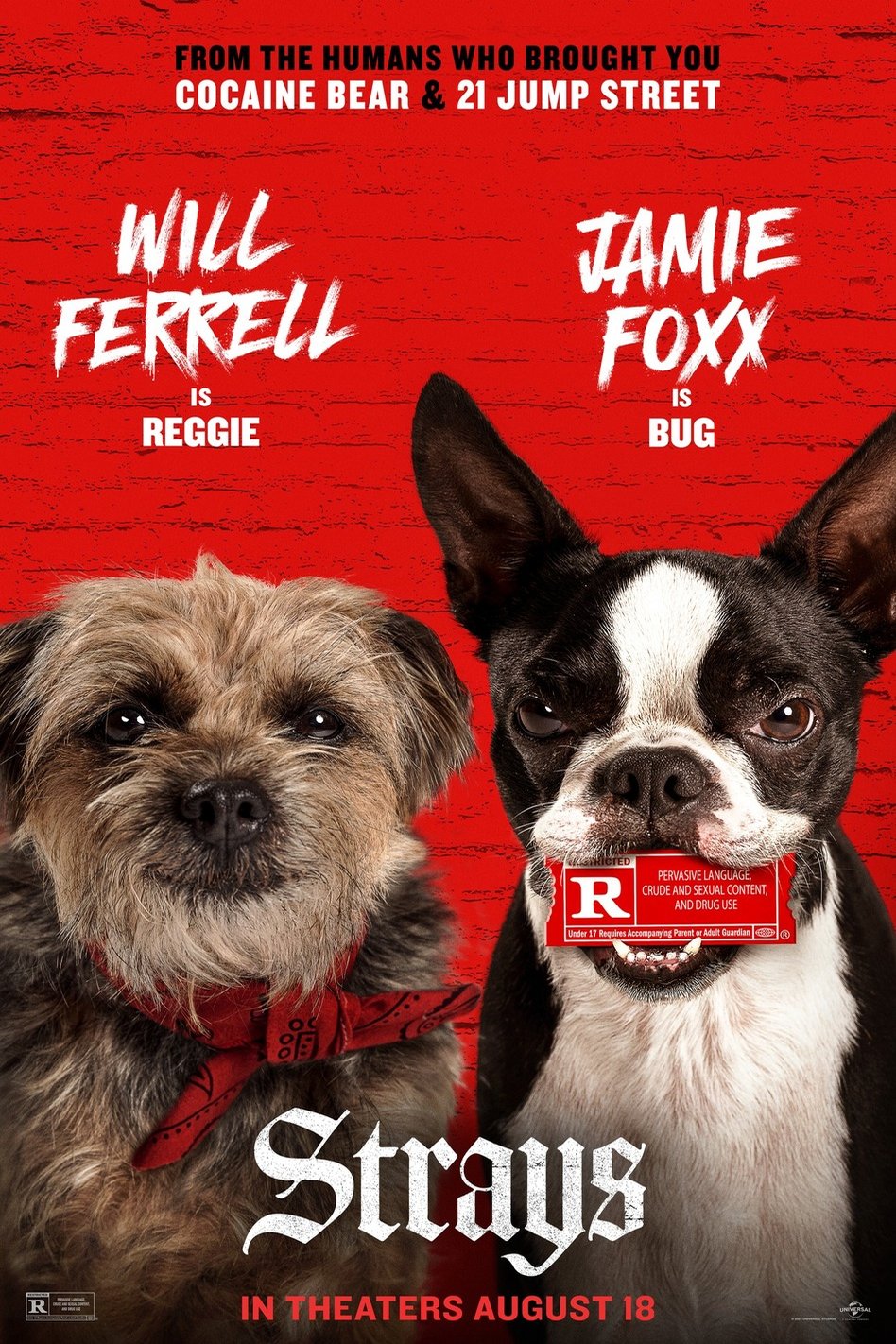 L'affiche du film Strays