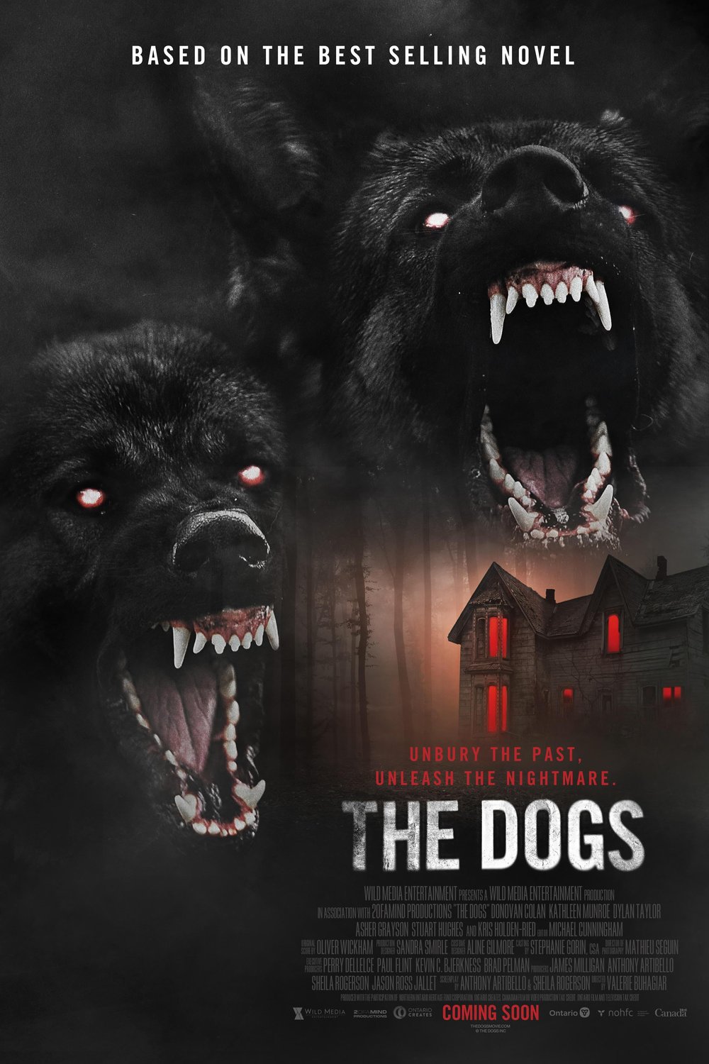 Poster of the movie The Dogs [2025]