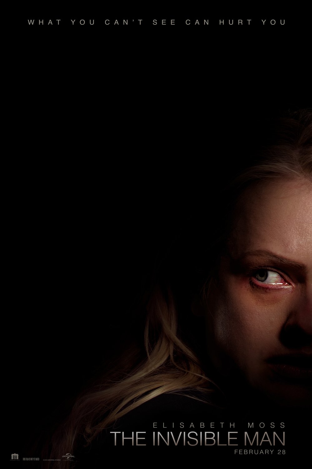 Poster of the movie The Invisible Man [2020]