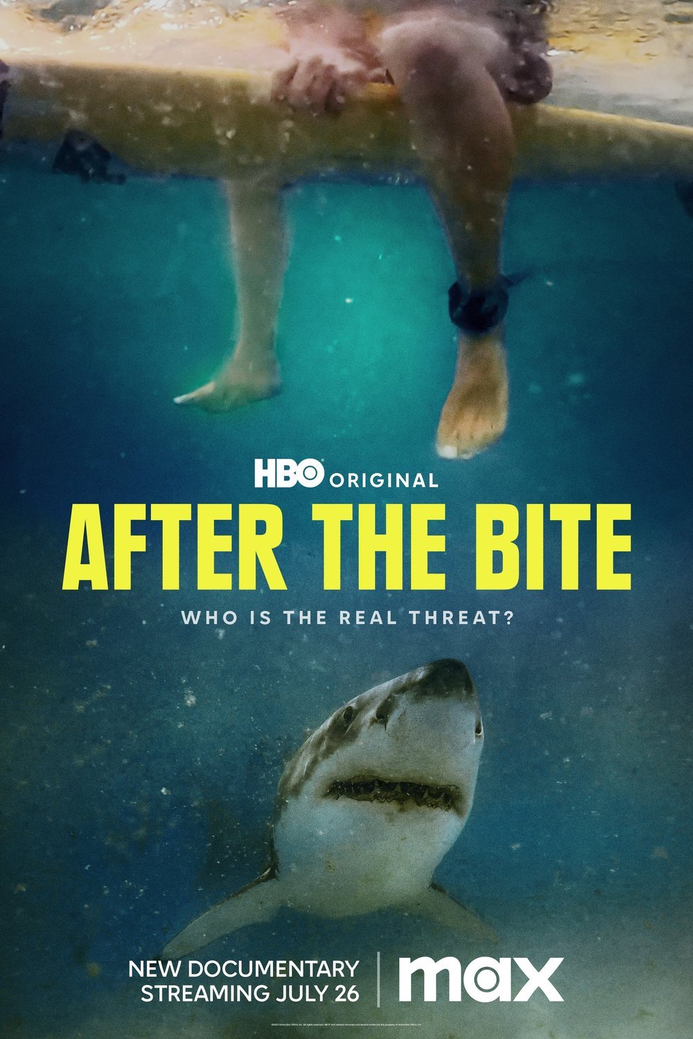 L'affiche du film After the Bite