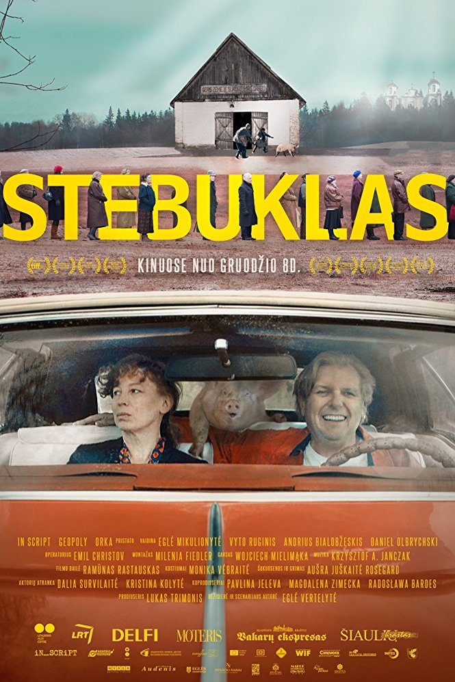 L'affiche du film Stebuklas