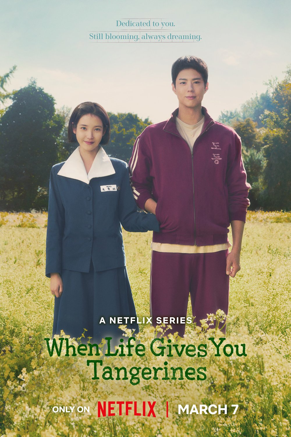 Poster of the movie When Life Gives You Tangerines