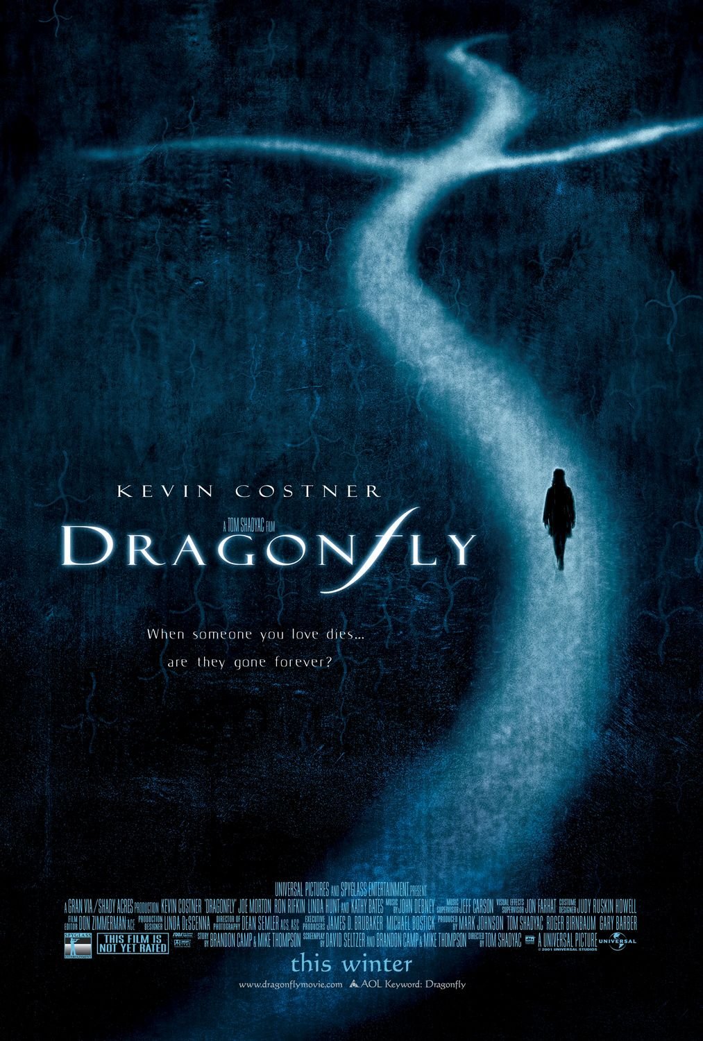 L'affiche du film Libellule