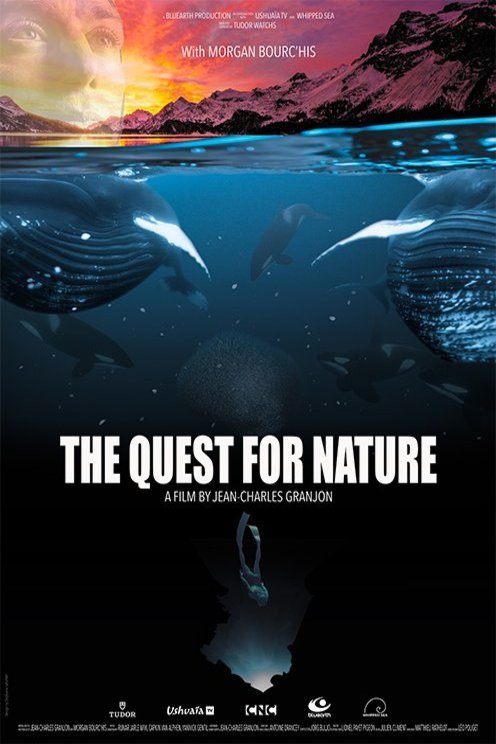 L'affiche du film La Quête du sauvage