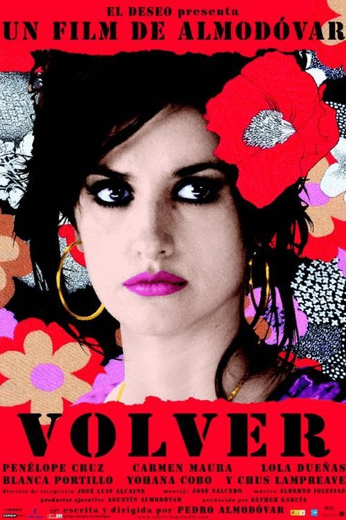 L'affiche du film Volver v.f.