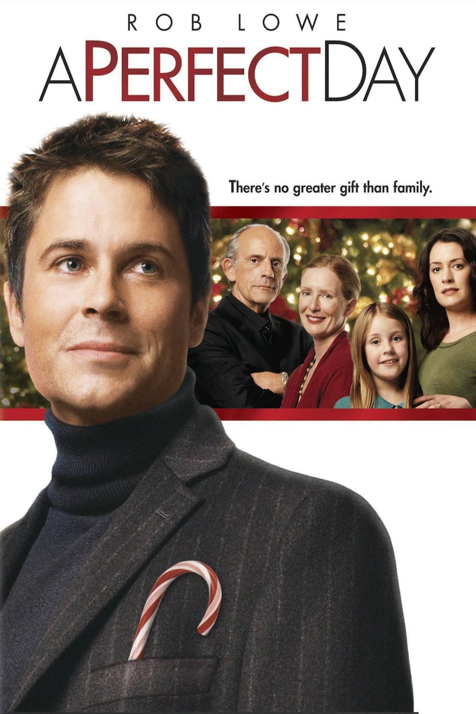 L'affiche du film A Perfect Day