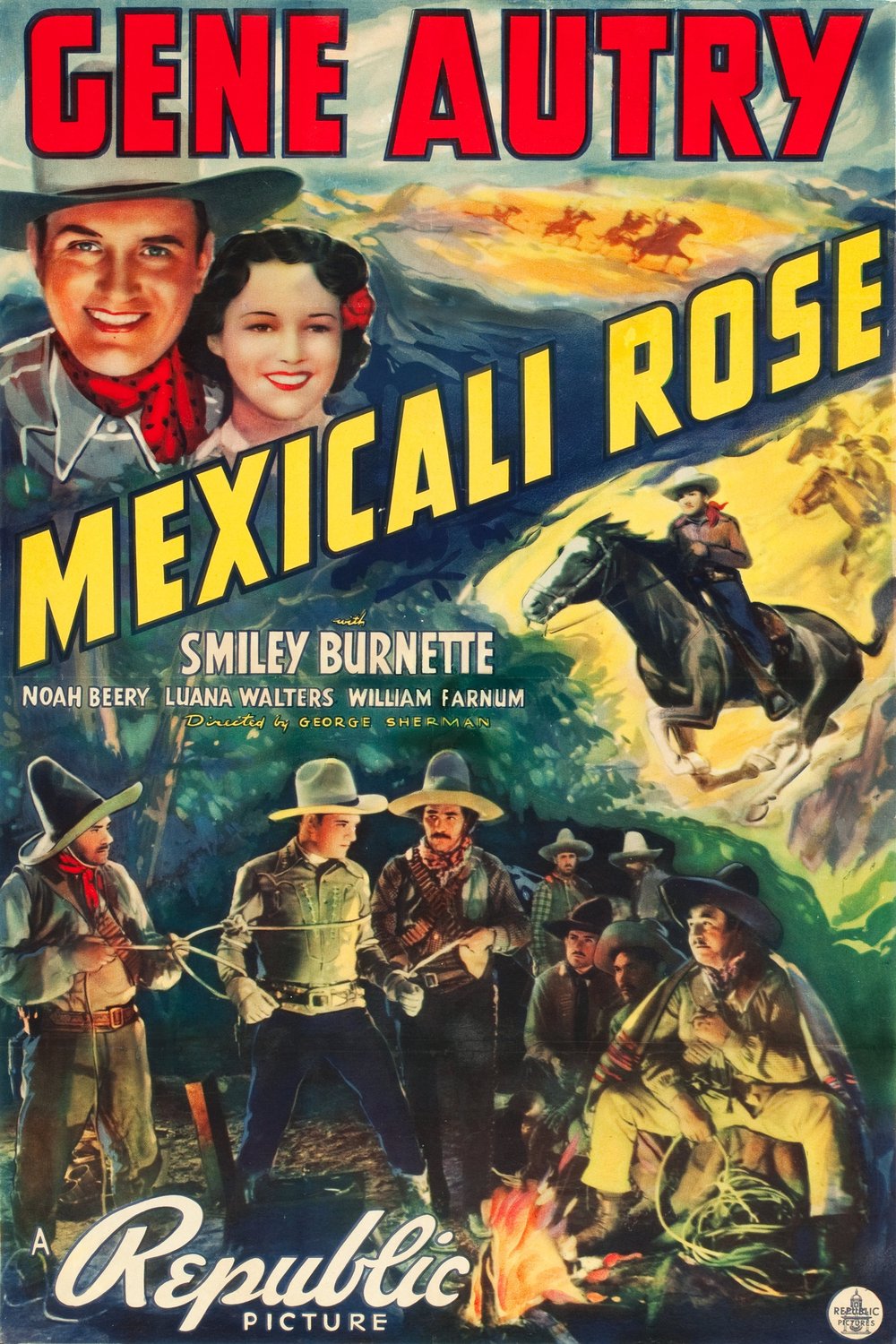 Poster of the movie Mexicali Rose