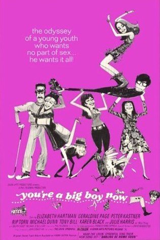 L'affiche du film You're a Big Boy Now