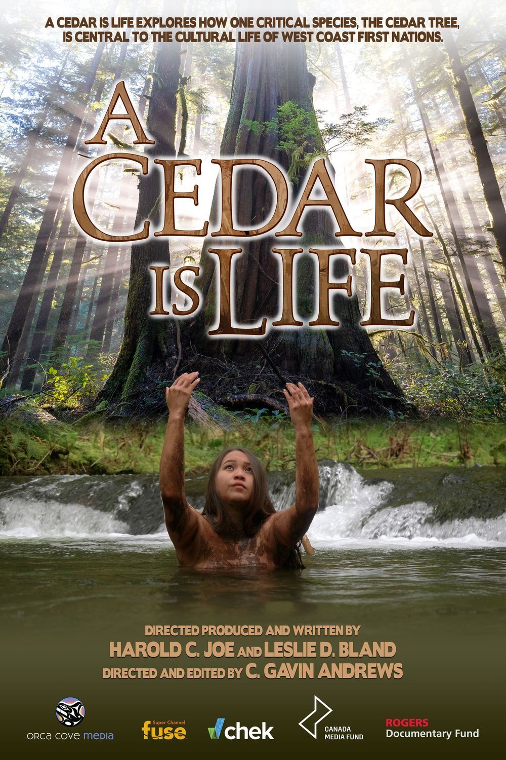 Poster of the movie A Cedar Is Life [2022]