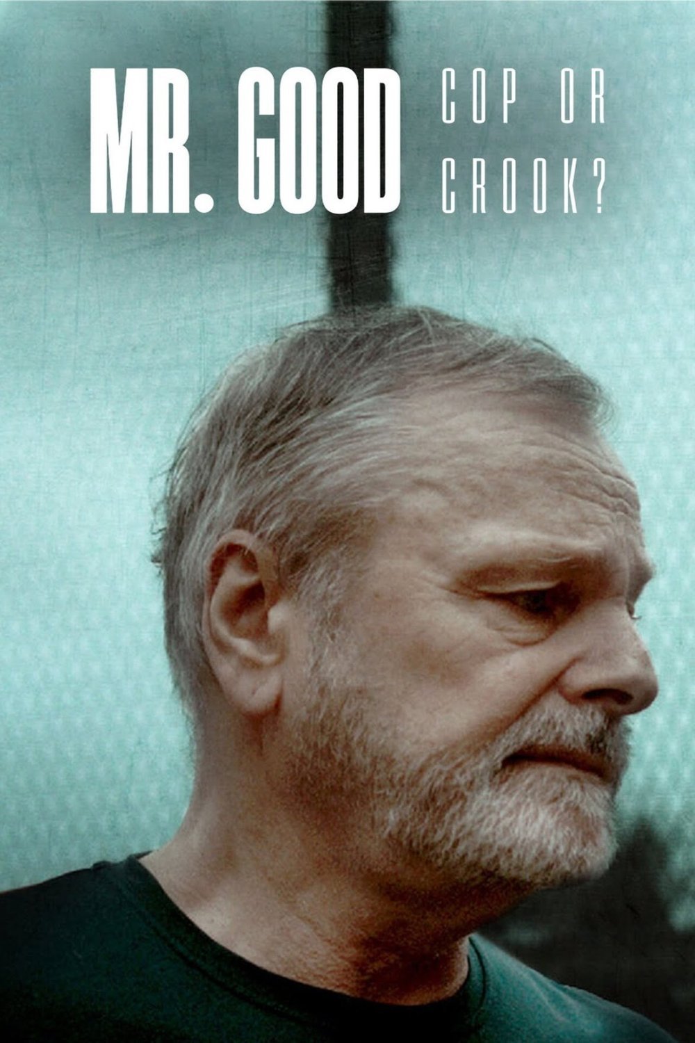 L'affiche du film Mr Good: Cop or Crook?