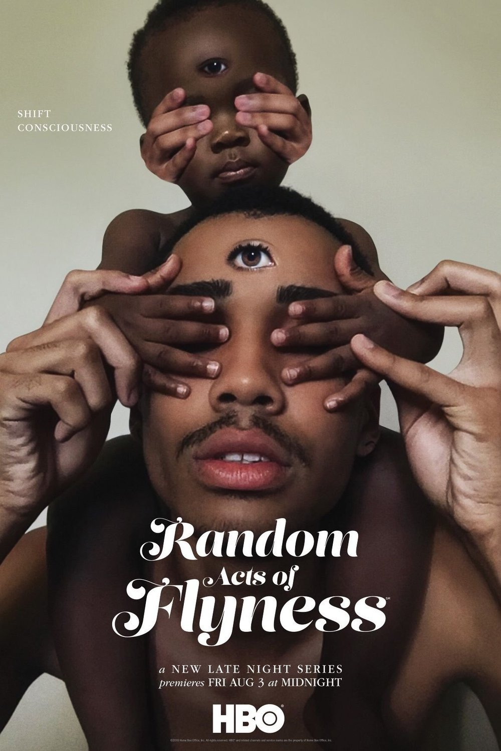 L'affiche du film Random Acts of Flyness