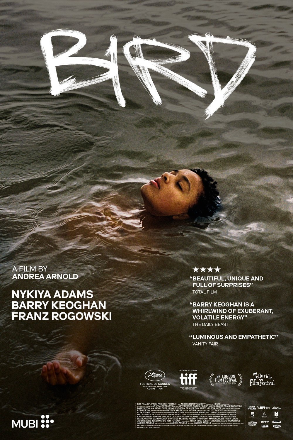 L'affiche du film Bird