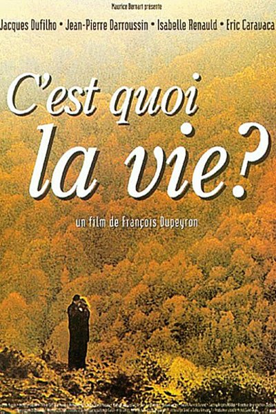 L'affiche du film C'est quoi la vie?