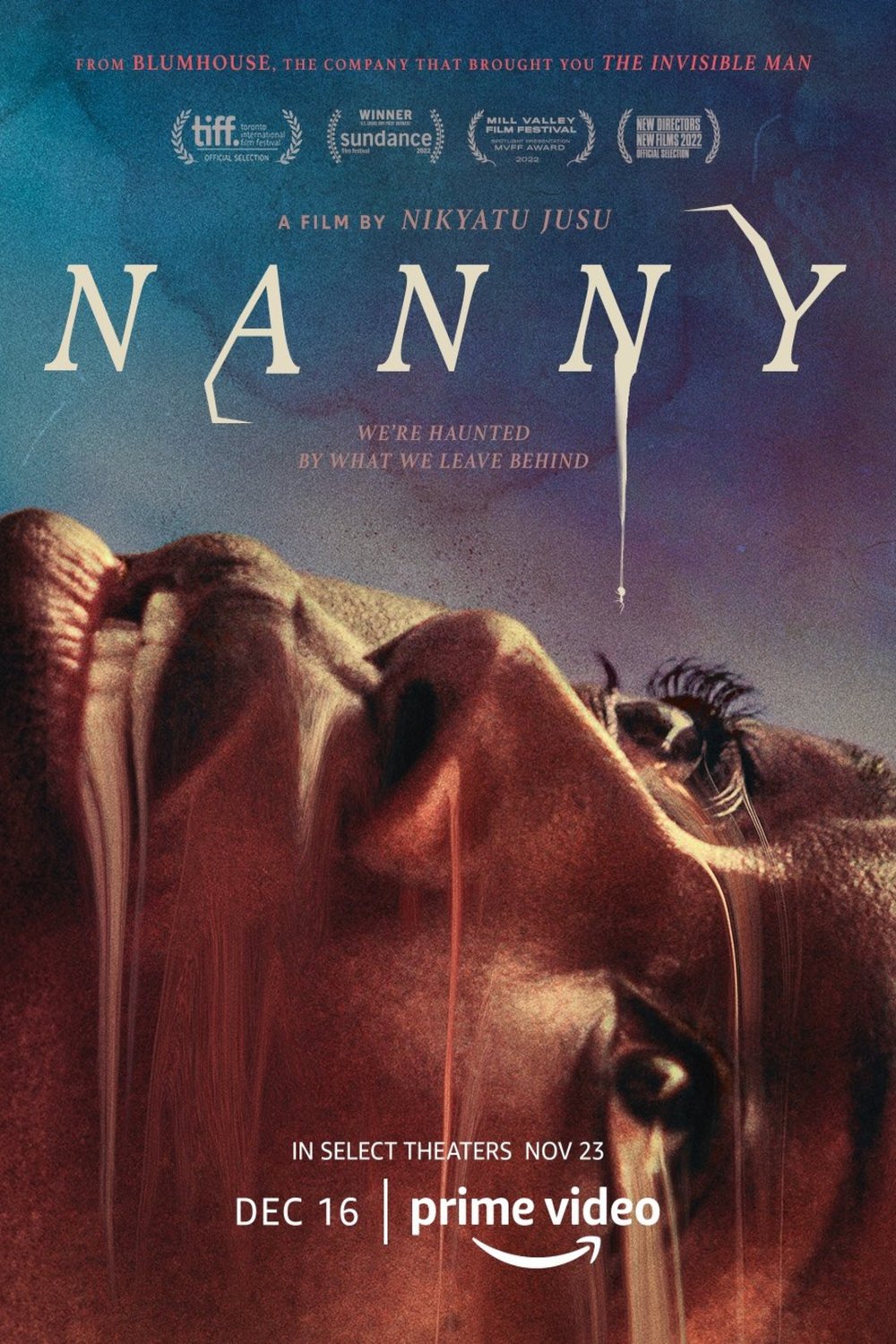 L'affiche du film Nanny