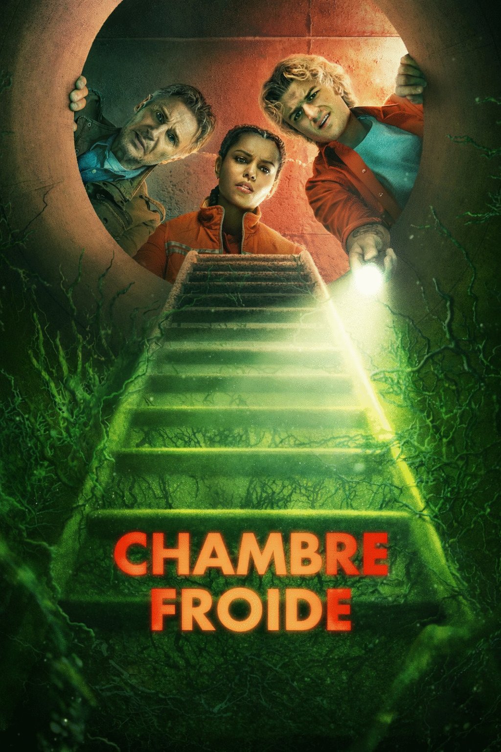 Poster of the movie Chambre froide [2026]