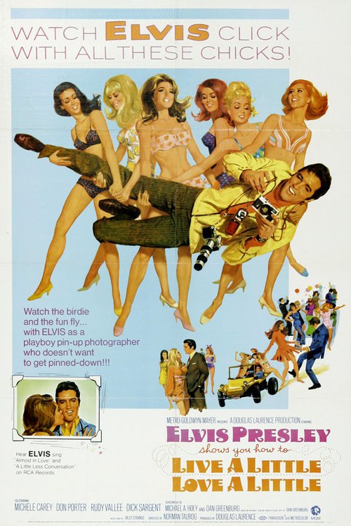 L'affiche du film Live a Little, Love a Little