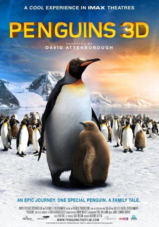 L'affiche du film Penguins