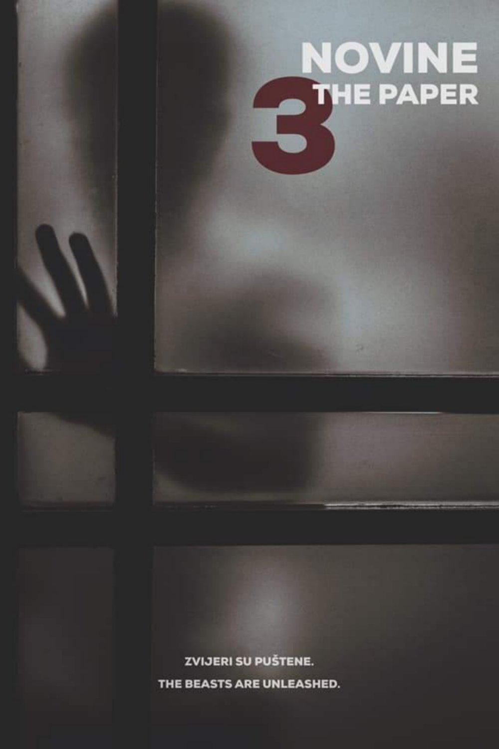 L'affiche du film Novine