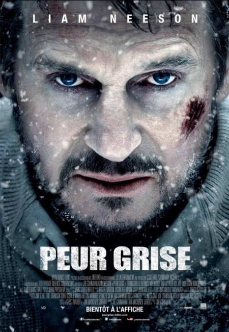 L'affiche du film Peur grise