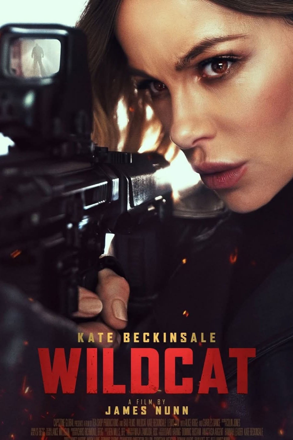 Poster of the movie Wildcat