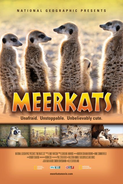 L'affiche du film Meerkats