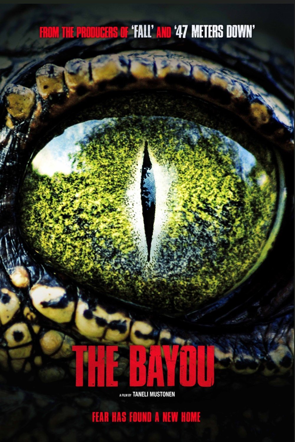 Poster of the movie The Bayou [2025]