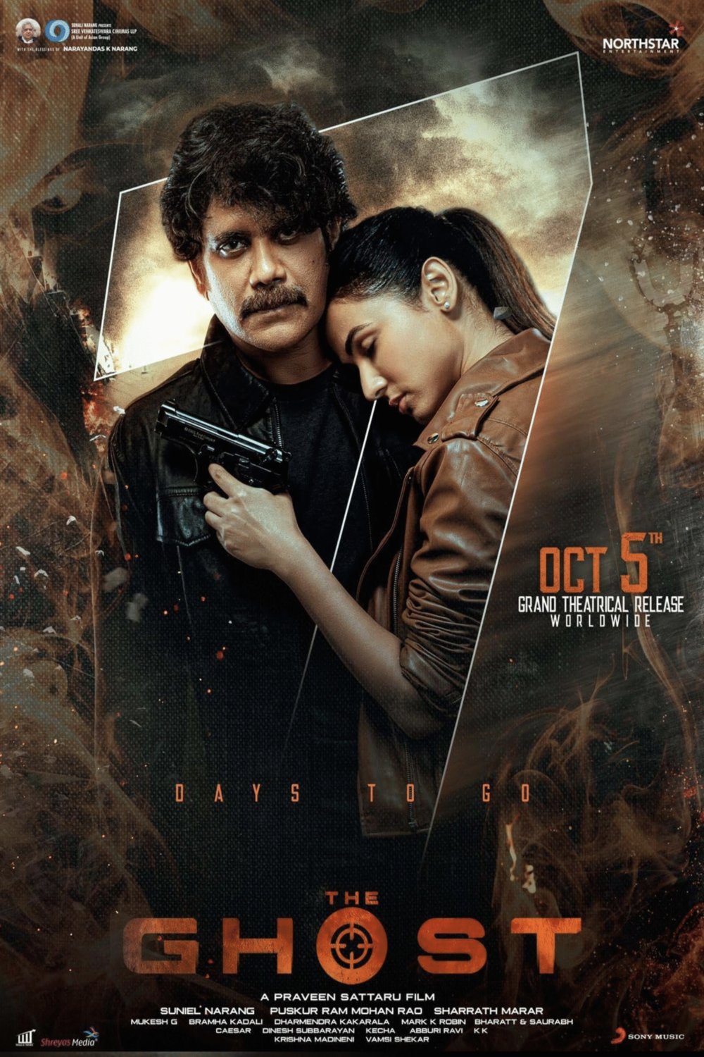 L'affiche du film The Ghost