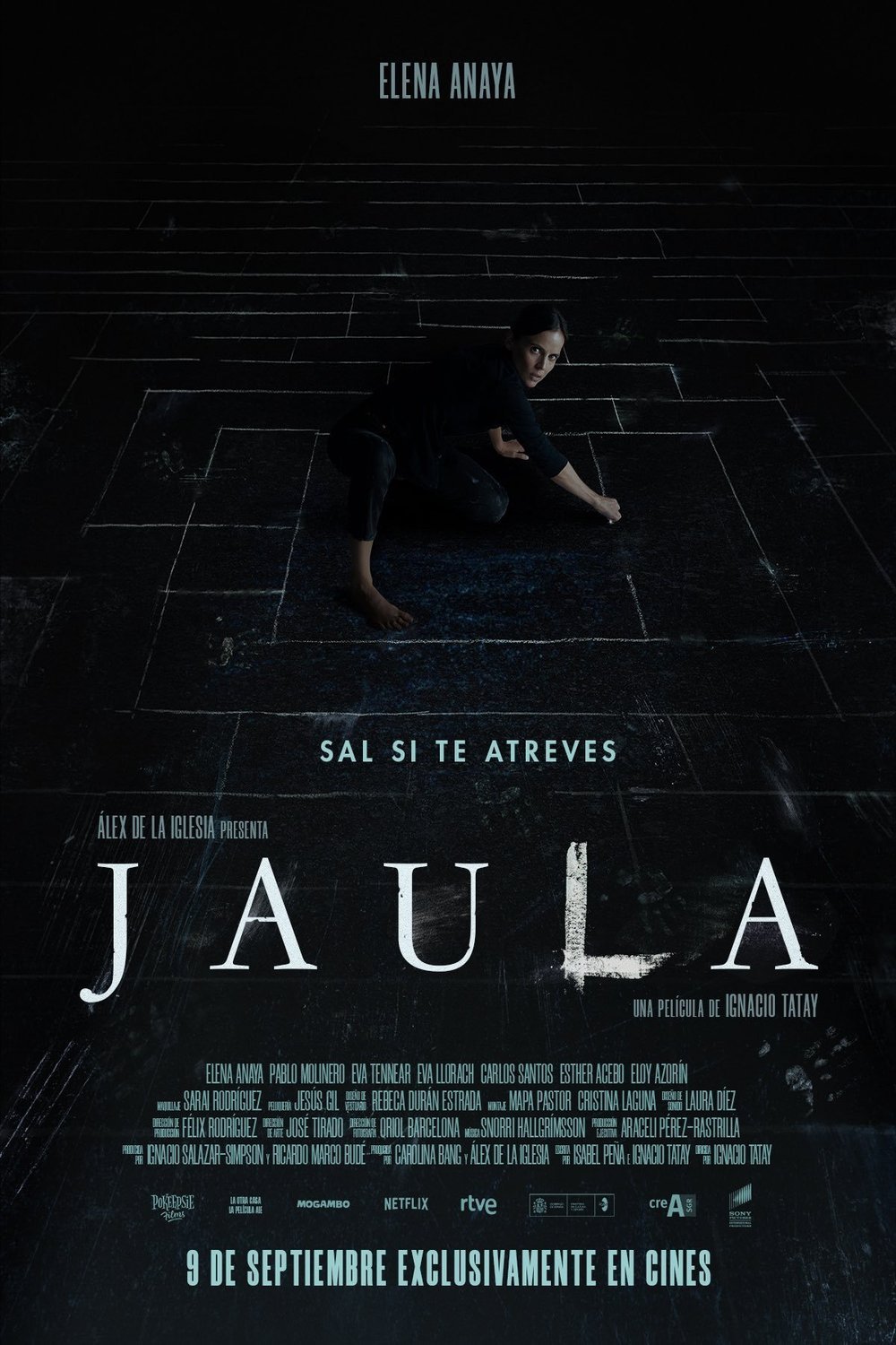 L'affiche du film Jaula
