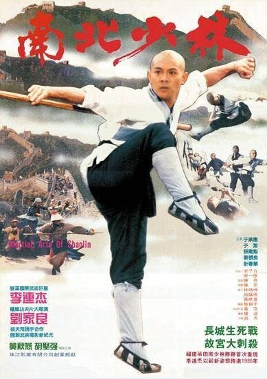 L'affiche du film Nan bei Shao Lin