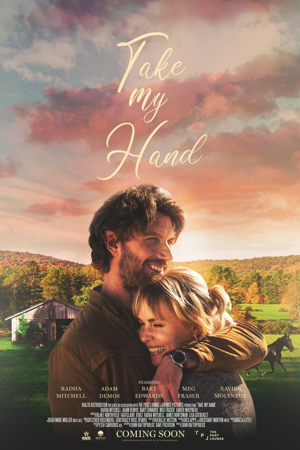L'affiche du film Take My Hand