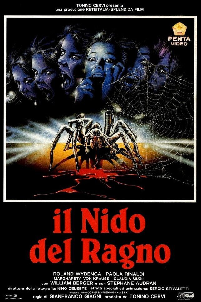 Poster of the movie Spider Labyrinth